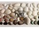 アイラッシュ ポート(Eyelash PORT)の写真