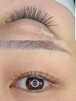 ヨソラ(Yosora)/フラットラッシュ100本