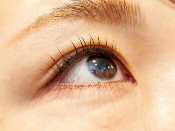 ナルシス(narcissus)/