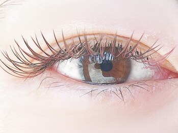 エニーラッシュ(ANYLASH)/大人気カラーフラット