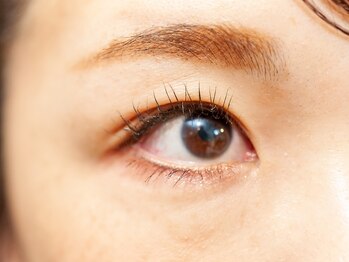 ナルシス(narcissus)/