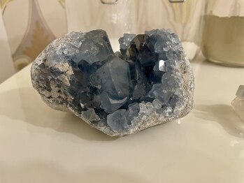 ダイダイ(daidai)/サロン内