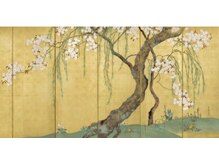 さりょう 二子玉川/壁紙貼りました