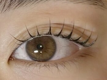 リリー(Liliy)/上まつげパーマ naomi