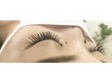 ベリーナ(Bellina)/セーブルラッシュつけ放題