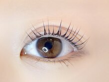 リノ カヒリ アイラッシュ(Lino kahili)/ラッシュリフト