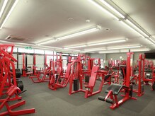 マックトレーニングスポーツジムの雰囲気(初心者さんから経験者さんまで使いやすいマシンのラインナップ!)