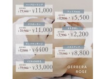 ジェルブラローズ(gerbera rose)