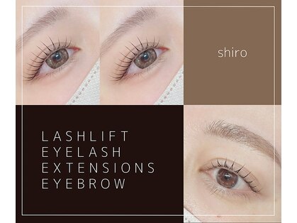 シロ(shiro)の写真