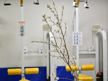 ホグレルスペース 本町店/季節のお花も◎