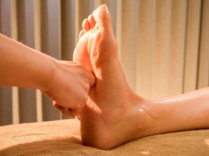 コットンローズ(Cotton Rose)の写真