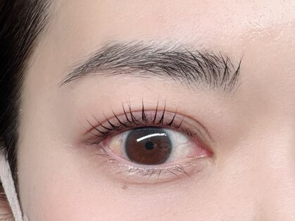 サイカモア(saika more)の写真