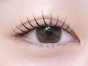 リーベ 高槻(Liebe)/☆まつ毛パーマ(ラッシュリフト)