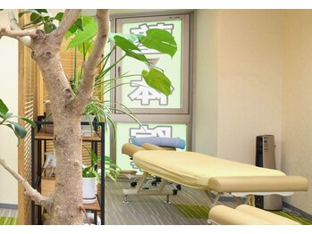 にのみや整体院/光が差し込む明るい店内♪