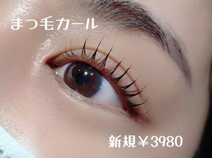 ヴィーナス 船橋駅前店(VENUS)の写真
