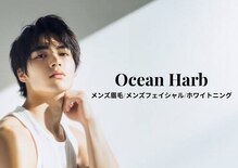 オーシャンハーブ(Ocean Harb)