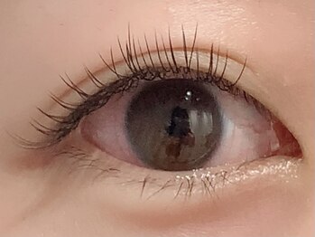 カラン 焼津店(CALIN)/フラットラッシュ100本