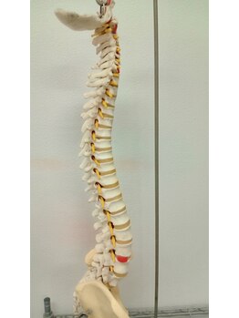 S字整体わが家/Ｓ字のカーブ知ってますか＃整体