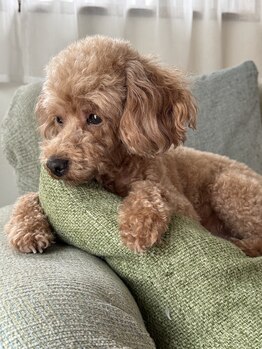 ケン指圧治療院(KEN指圧治療院)/トイプ