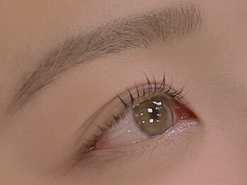 ボブフレックス(BOBFLEX)/