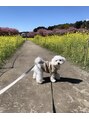 アイパリシルヴィー(Eye paris Silvi)&nbsp;愛犬とお出かけするのが趣味です