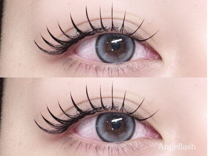 エンジェルラッシュ (Angel Lash)の写真