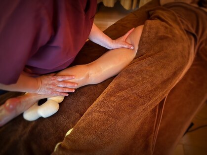 樹の音の森の写真