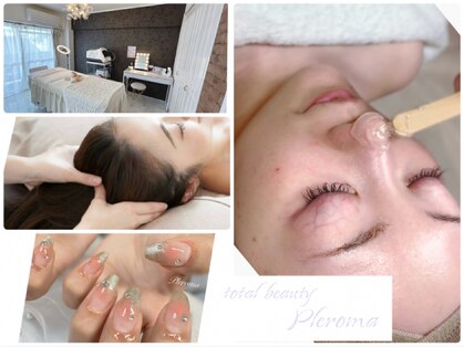プレローマ(Pleroma)の写真