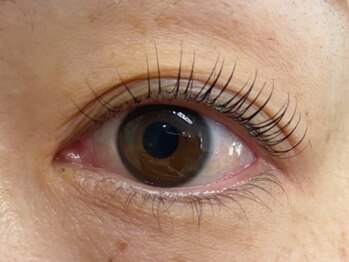 ウルカ アイラッシュ(uruka EYELASH)/ラッシュリフト[まつ毛パーマ]