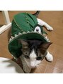 アイラッシュ アンド リラクゼーション ヘアー(eyelash&relaxation Hair) 家に猫とうさぎがいます☆動物大好きです^_^