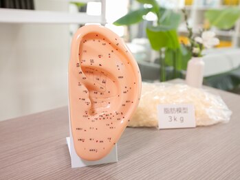ユメサロン 北浦和店(Yumeサロン)/耳ツボは脳に最も近いツボ！
