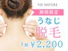【期間限定】『うなじ脱毛』スタート♪夏のまとめ髪に◎1回￥2200！