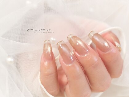 ネリネ(NERINE)の写真