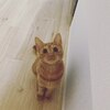 高橋整骨院鍼灸院のお店ロゴ