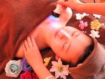 プリモア(Primore)/即攻ハイパーナイフ痩身