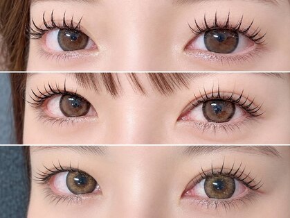 アイラッシュマルヴァ(Eye Lash Malva)の写真