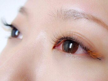 ミニョンアイラッシュデザインサロン 北花田店/柔らかい印象の「+カラー」♪