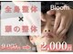 ブルーム(Bloom)の写真