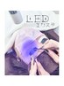 【U40】平日限定★LEDエクステ100本7800円※目元写真撮可の方、指名不可