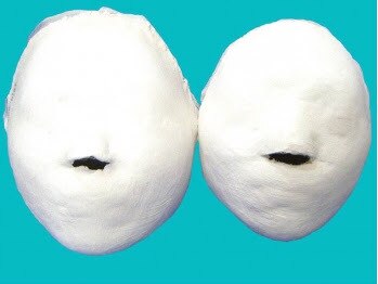 フフラ KANコルギセラピー山梨本店(fufla)/石膏パック