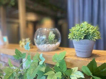 フォーカス 住吉店(FOCUS)/