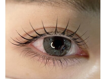 ル ココン(Le cocon)の写真