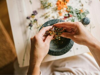 ガーベラ(Gerbera)の写真/【医療提携】効能別えらべる韓方★身体の不調/妊活/自律神経…理学療法士監修の施術で、長年のお悩み解決！