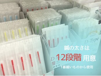 鍼灸チャンドラ(鍼灸Chandra)/あなたに合わせて鍼を選択