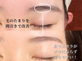 プレジール(plaisir)/ダマになる眉マスカラ解消！