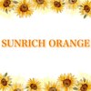 サンリッチ オレンジ(SUNRICH ORANGE)のお店ロゴ
