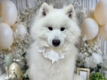 フットネイル持ち込みコース／ゆったりできる完全個室！