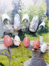 コーラルコース　￥4900