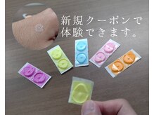 ホグステ/鍼に興味がある方へ