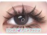【ワンホン/アニメラッシュ】☆束感☆羽エク6束ずつ＋40本ずつ¥6500